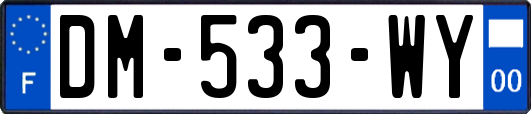 DM-533-WY