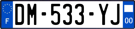 DM-533-YJ