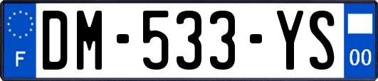 DM-533-YS