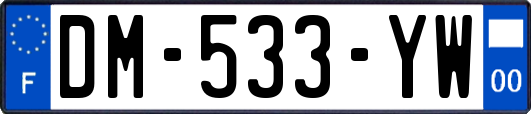 DM-533-YW