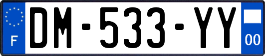 DM-533-YY