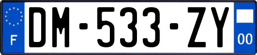 DM-533-ZY