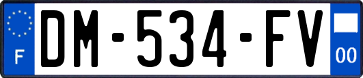 DM-534-FV