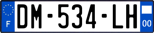 DM-534-LH