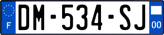 DM-534-SJ