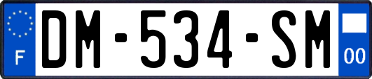 DM-534-SM