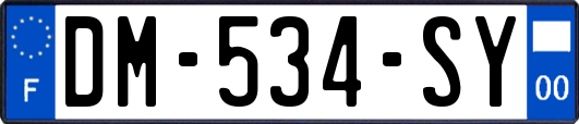 DM-534-SY