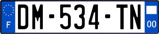 DM-534-TN