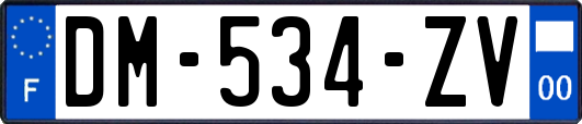 DM-534-ZV