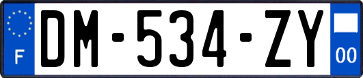 DM-534-ZY