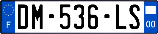 DM-536-LS