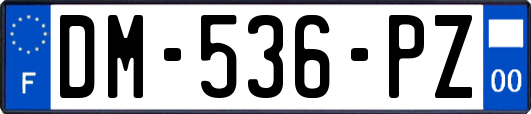 DM-536-PZ