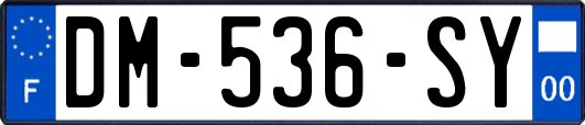 DM-536-SY