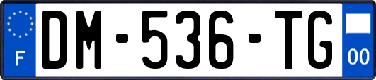 DM-536-TG
