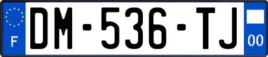 DM-536-TJ