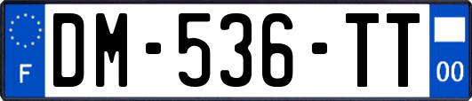 DM-536-TT