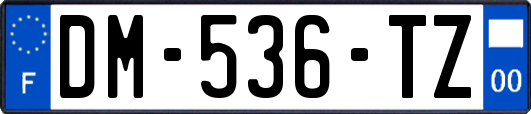 DM-536-TZ