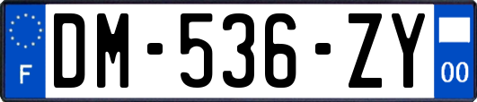 DM-536-ZY