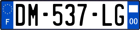 DM-537-LG