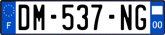 DM-537-NG