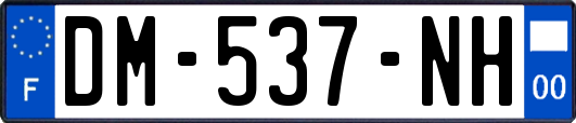 DM-537-NH