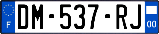 DM-537-RJ