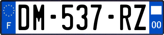DM-537-RZ