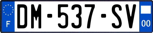 DM-537-SV