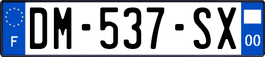 DM-537-SX