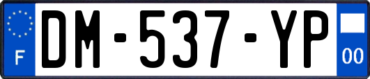 DM-537-YP