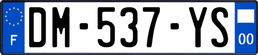 DM-537-YS