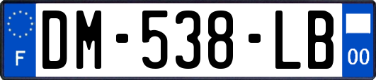 DM-538-LB