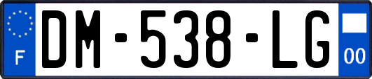 DM-538-LG