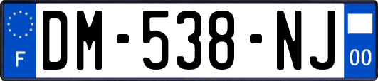 DM-538-NJ