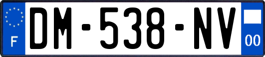 DM-538-NV