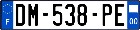 DM-538-PE