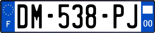 DM-538-PJ