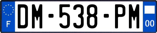 DM-538-PM