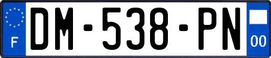 DM-538-PN