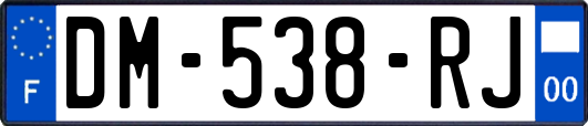 DM-538-RJ