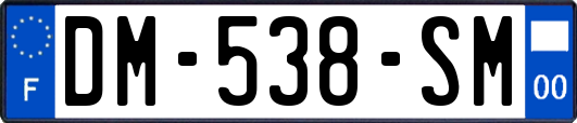 DM-538-SM