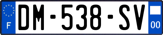 DM-538-SV