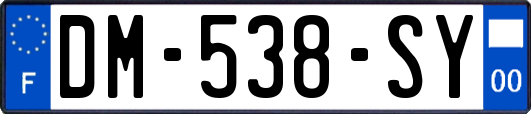 DM-538-SY