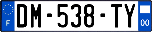 DM-538-TY