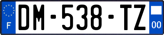DM-538-TZ