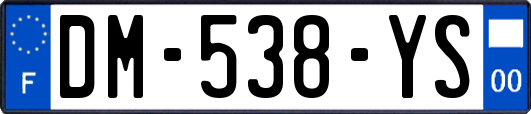 DM-538-YS