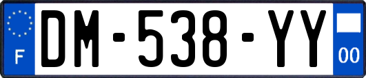 DM-538-YY