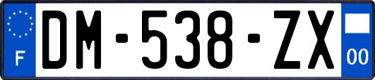 DM-538-ZX