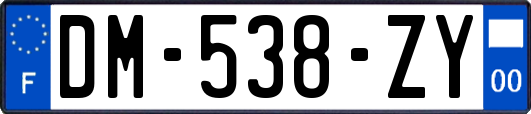 DM-538-ZY