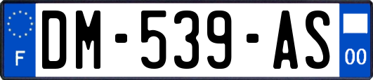 DM-539-AS